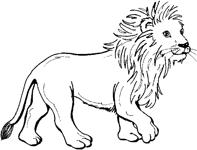 Zoo #10009