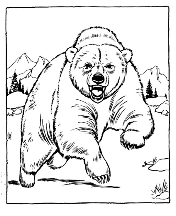 Zoo #10016