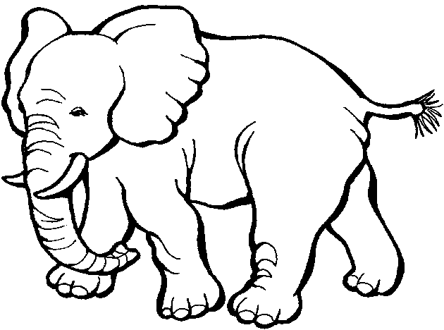 Zoo #10018