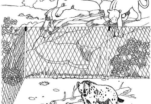 Zoo #10025