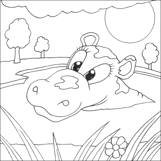 Zoo #10026