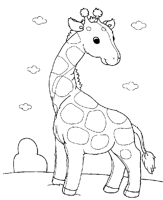 Zoo #10027