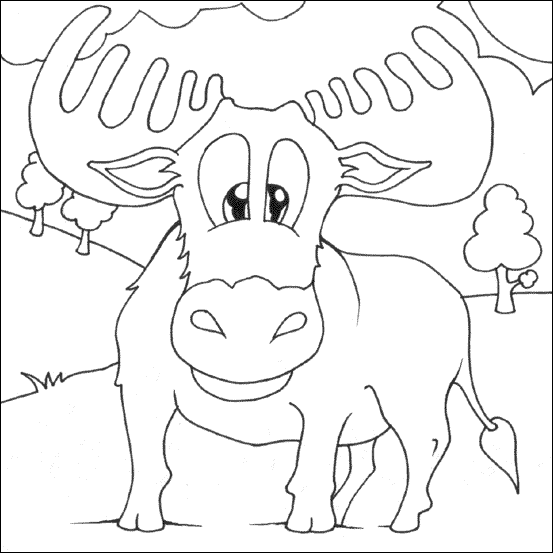 Zoo #10038