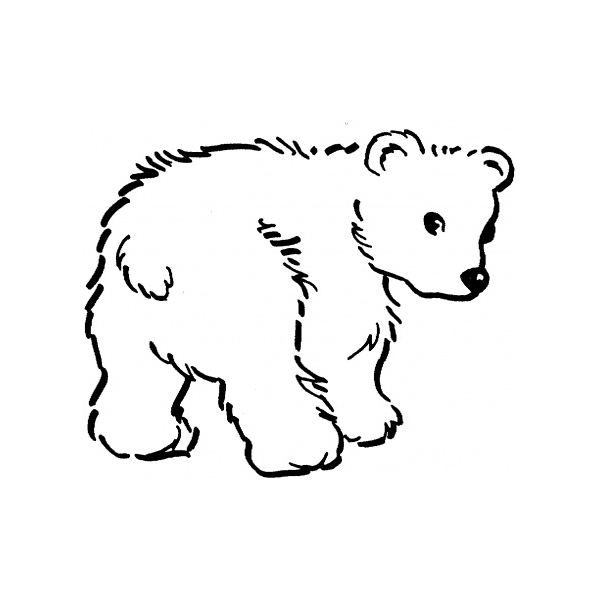 Zoo #10039