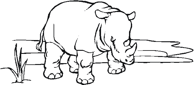 Zoo #10041