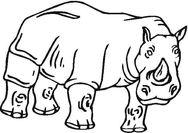 Zoo #10043