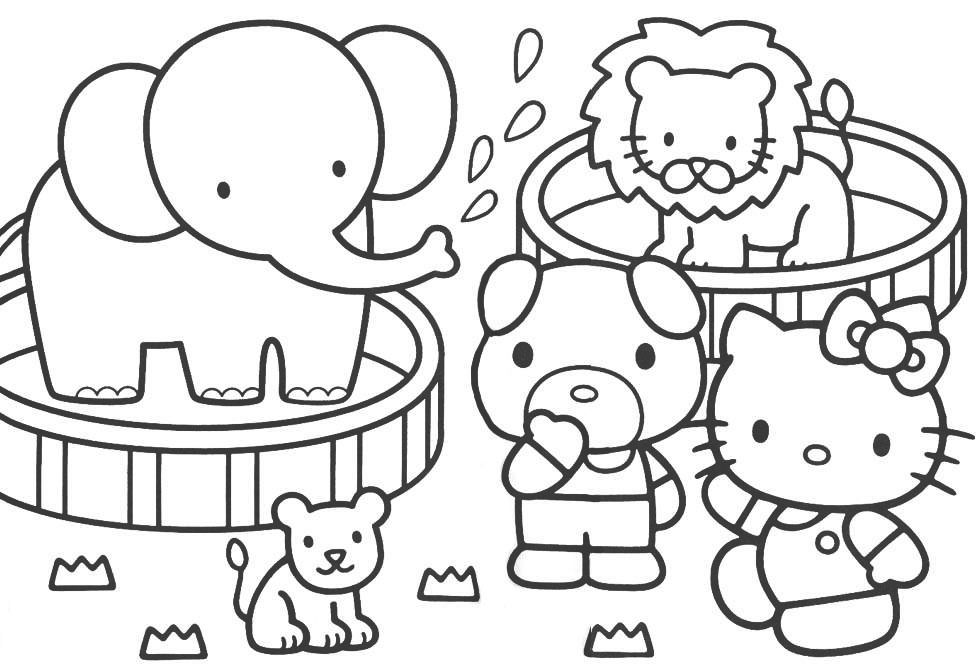 Zoo #10045