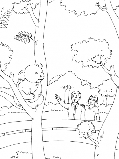 Zoo #10046