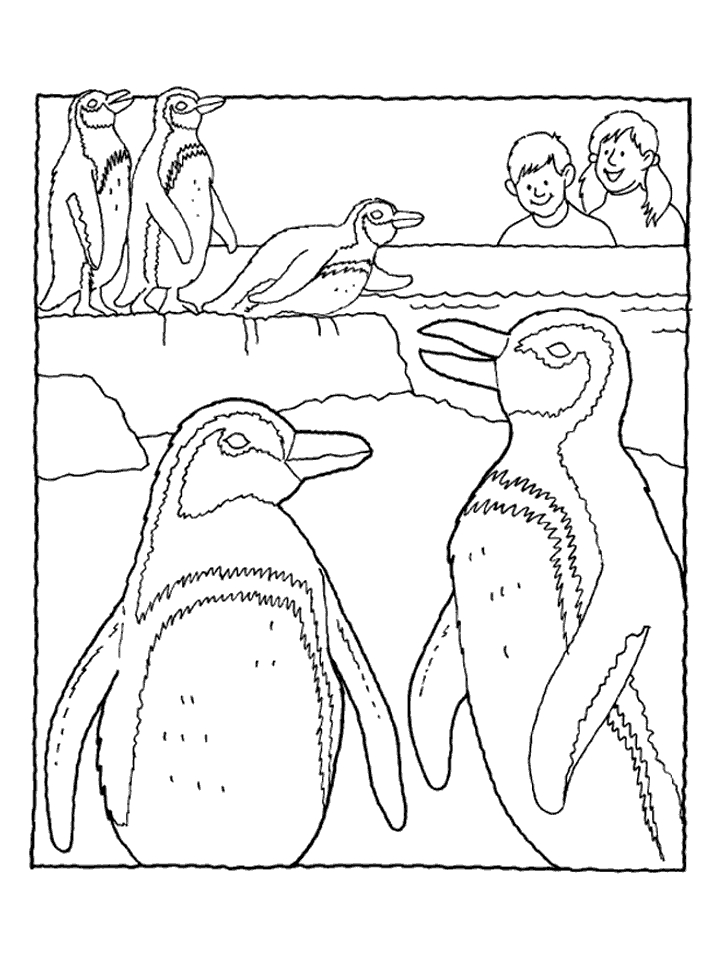 Zoo #10050
