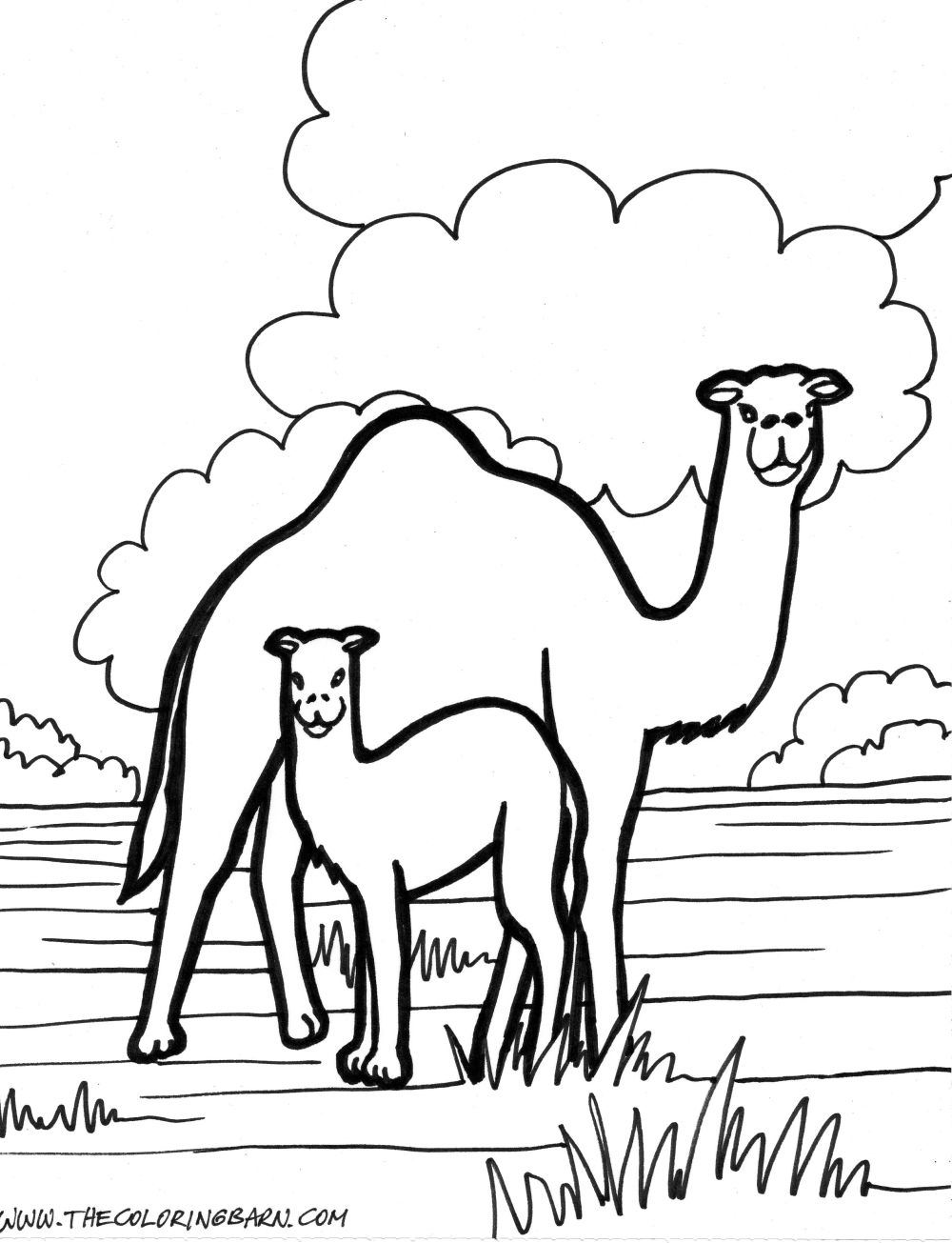 Zoo #10055