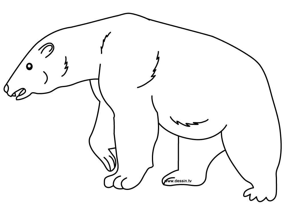 Zoo #10056