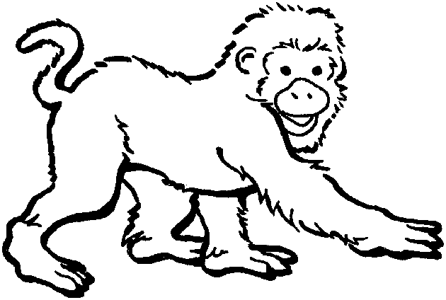 Zoo #10061
