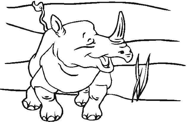 Zoo #10062