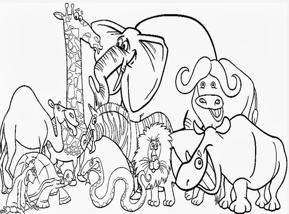 Zoo #9876