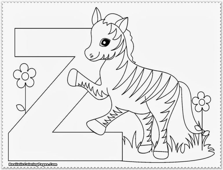 Zoo #9877