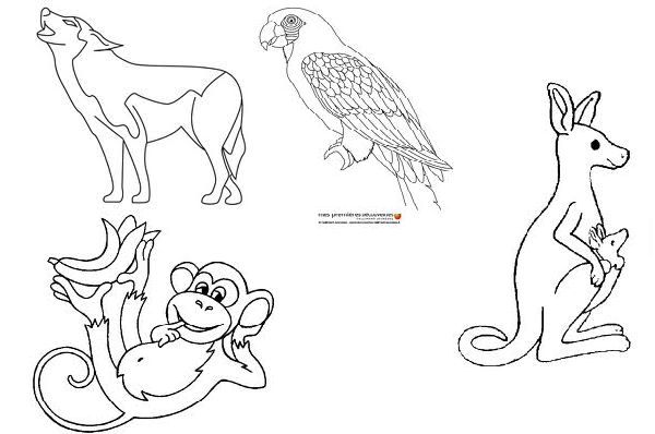Zoo #9888