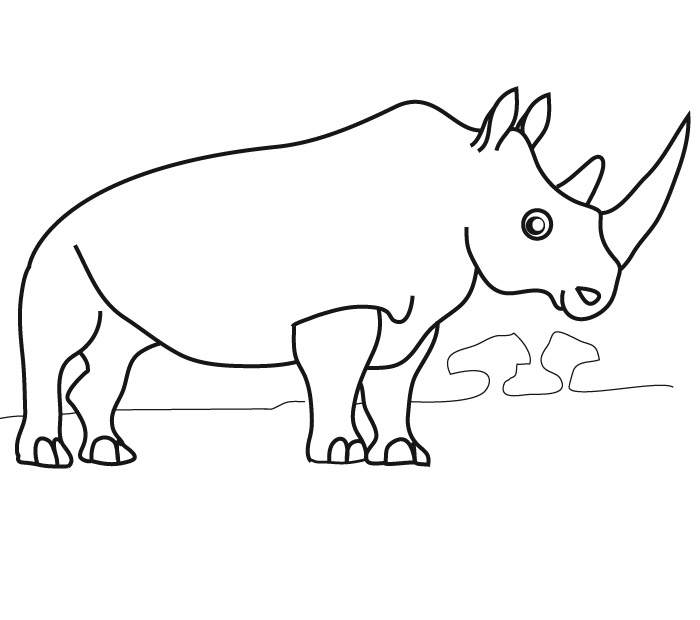 Zoo #9891