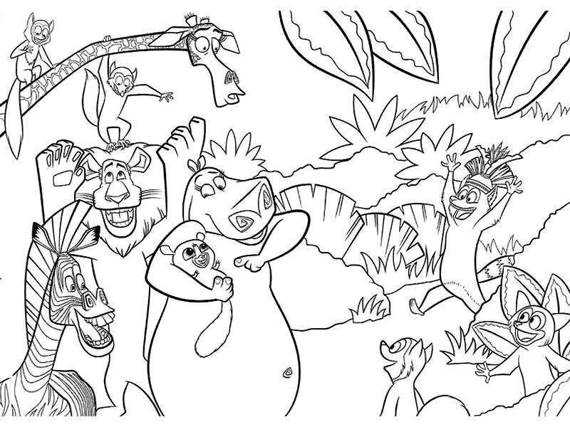Zoo #9896