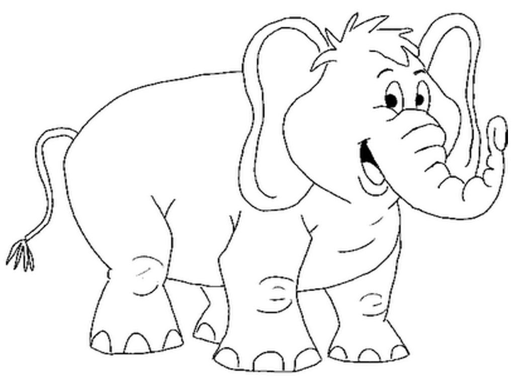 Zoo #9897