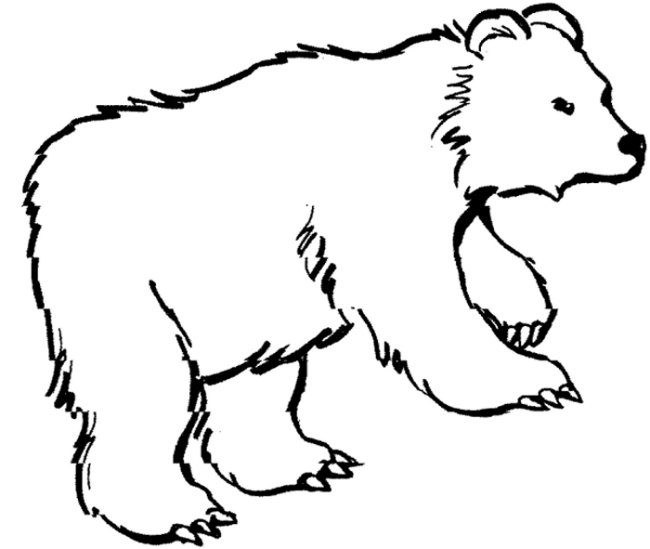 Zoo #9898