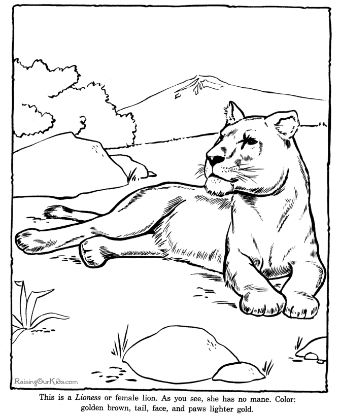 Zoo #9899