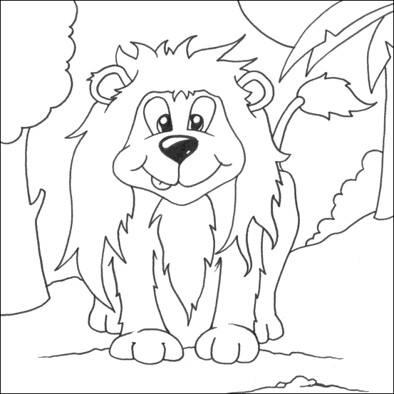 Zoo #9901