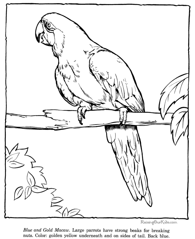 Zoo #9902