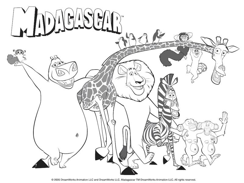 Zoo #9903