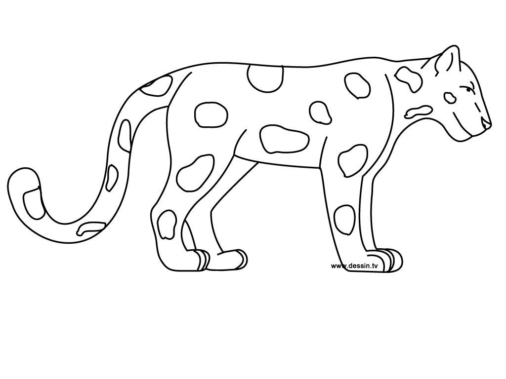Zoo #9906