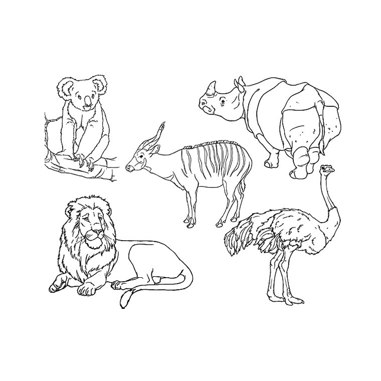 Zoo #9907
