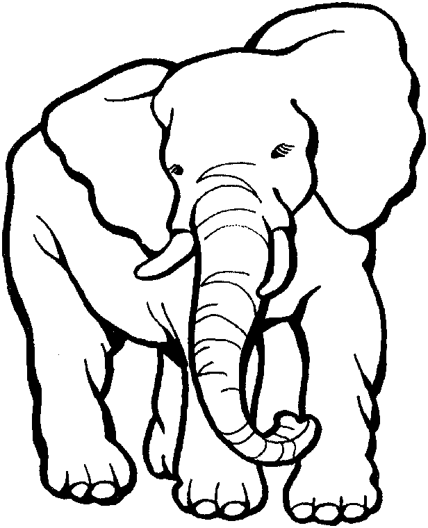 Zoo #9918