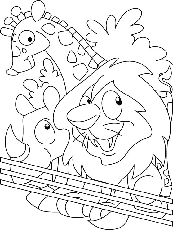 Zoo #9921