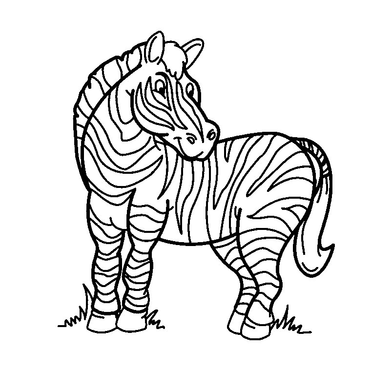 Zoo #9924