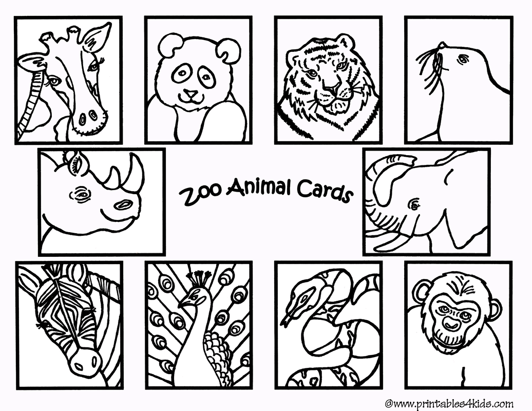 Zoo #9925