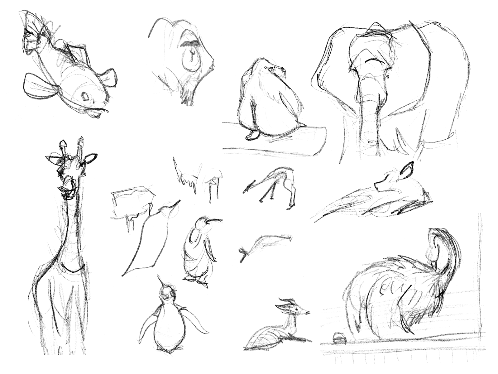 Zoo #9928