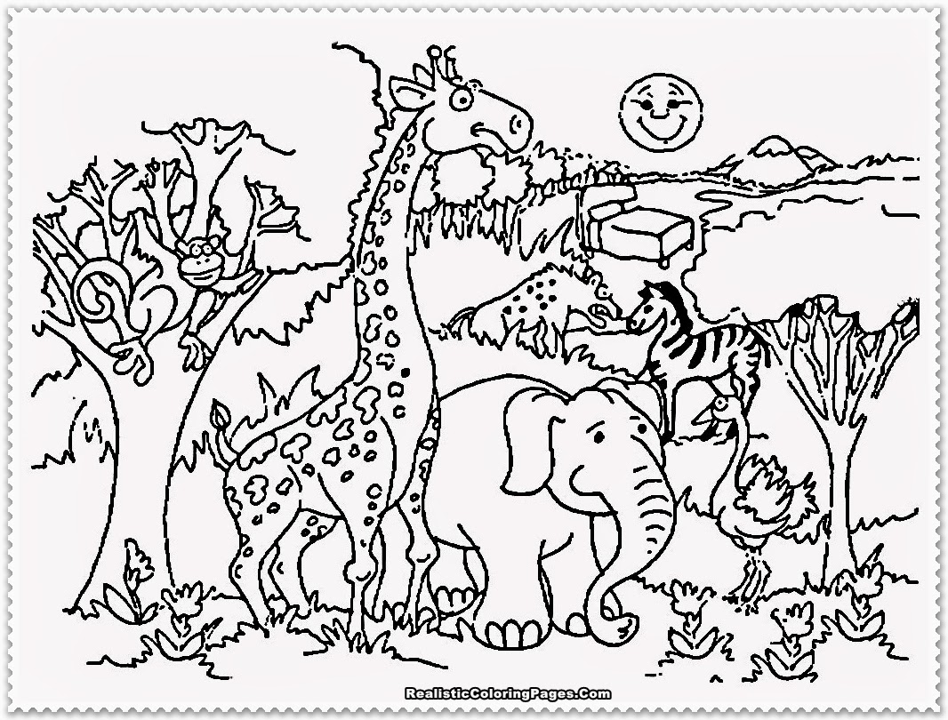 Zoo #9932
