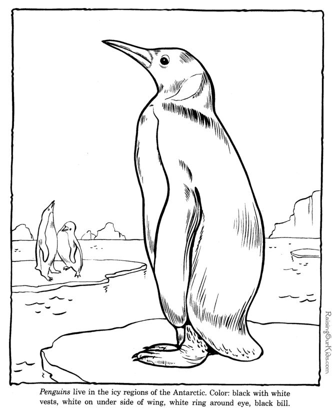 Zoo #9934