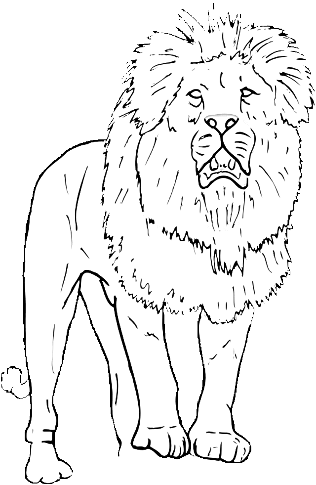 Zoo #9936