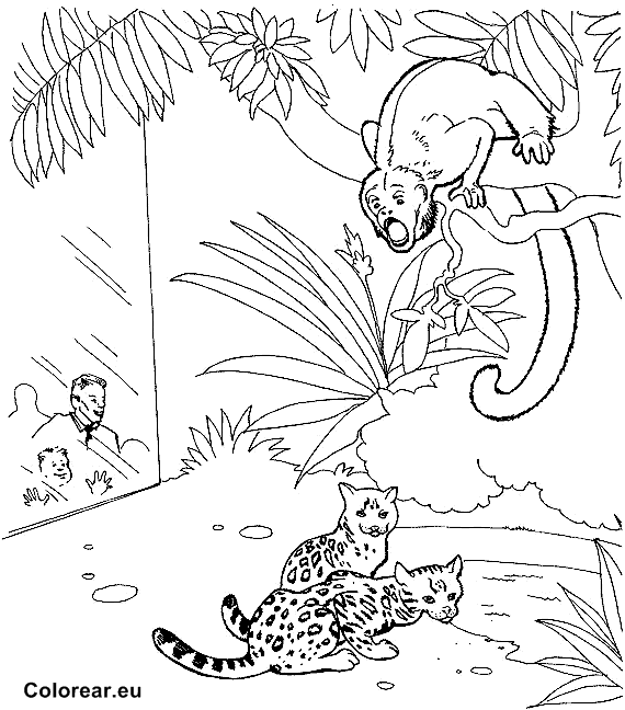 Zoo #9938