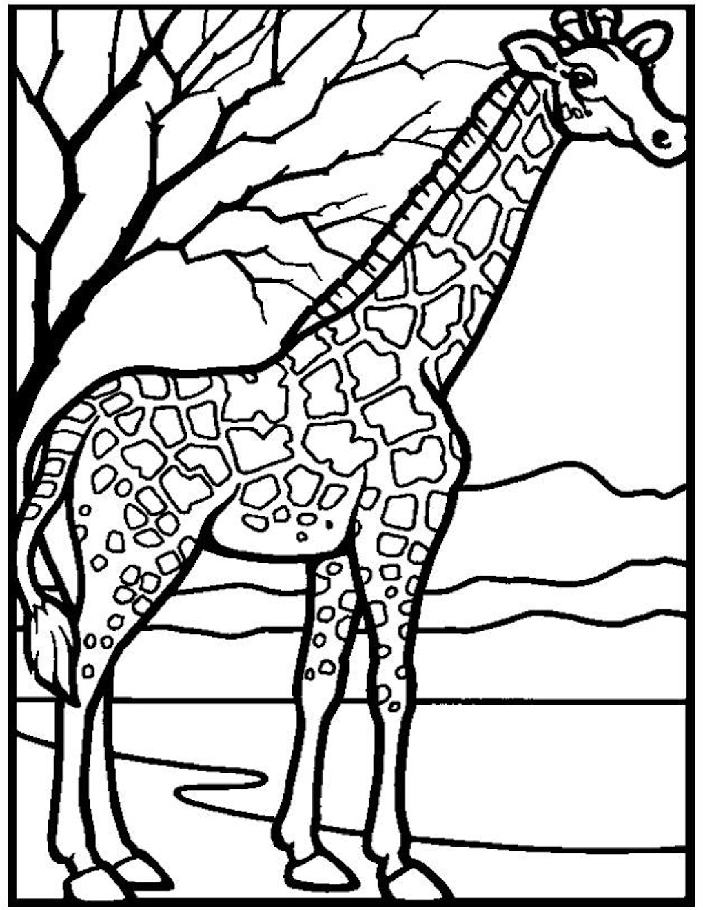 Zoo #9941