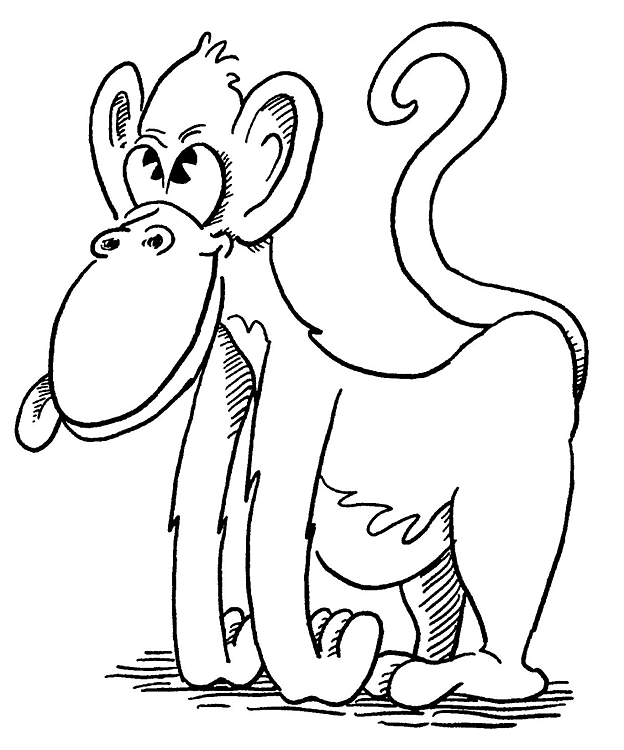 Zoo #9944