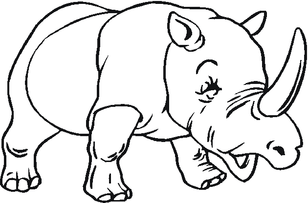 Zoo #9947
