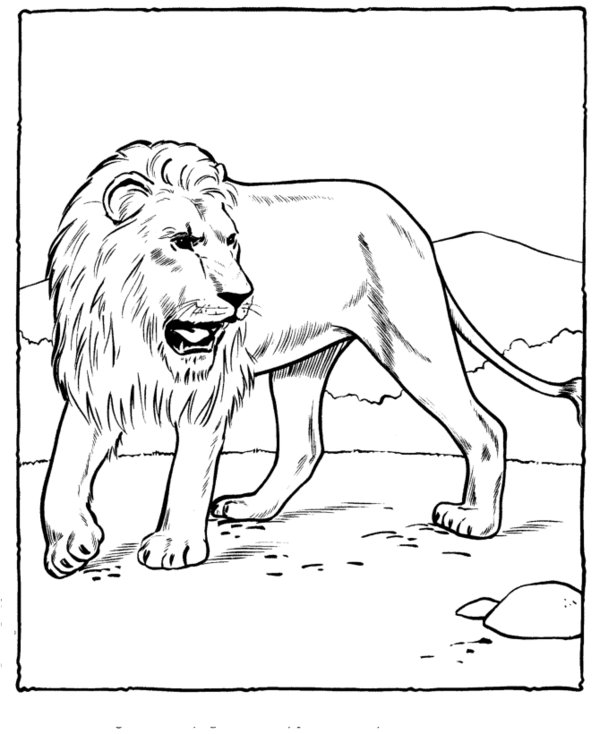 Zoo #9948