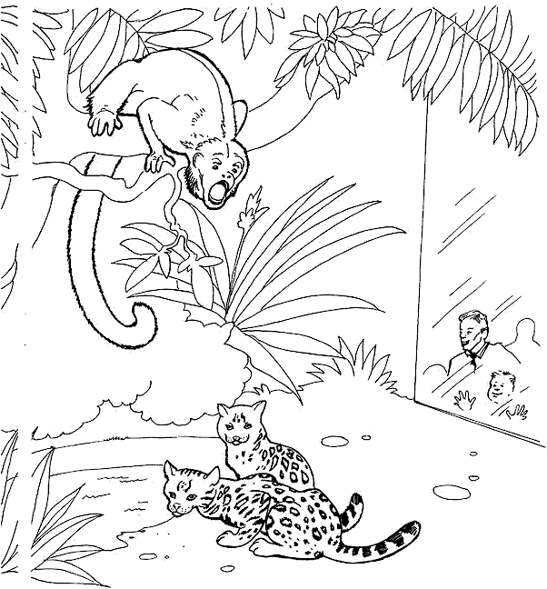 Zoo #9952