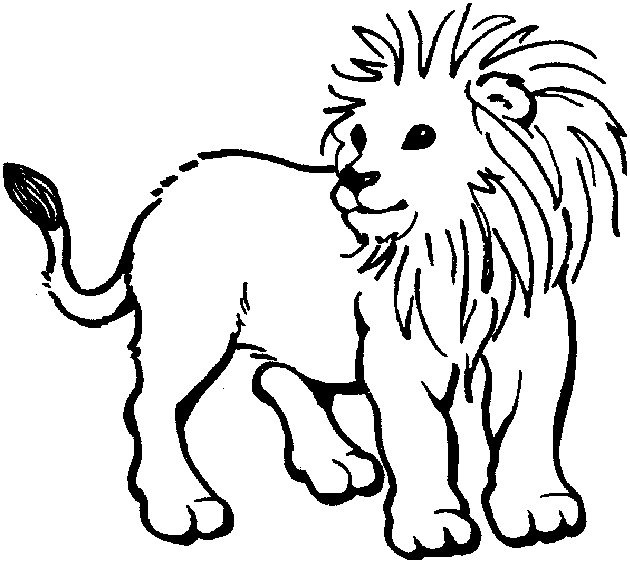 Zoo #9957