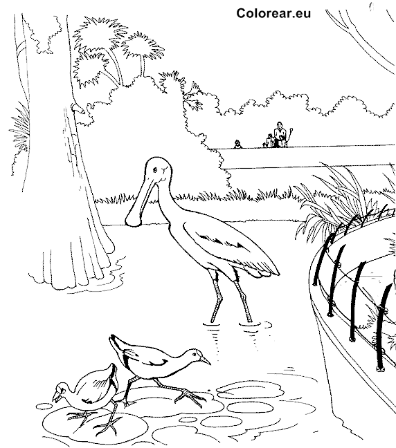 Zoo #9958