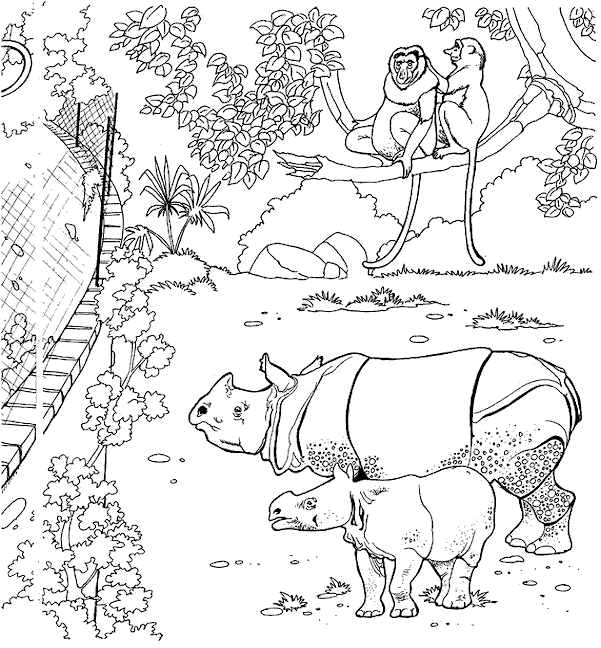 Zoo #9963