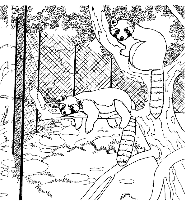 Zoo #9966