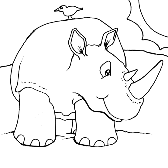 Zoo #9968