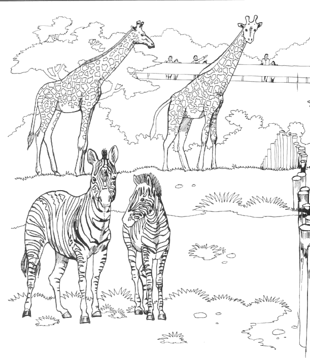 Zoo #9979